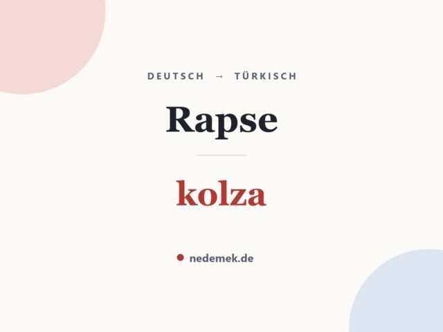 Rapse auf Türkisch: kolza