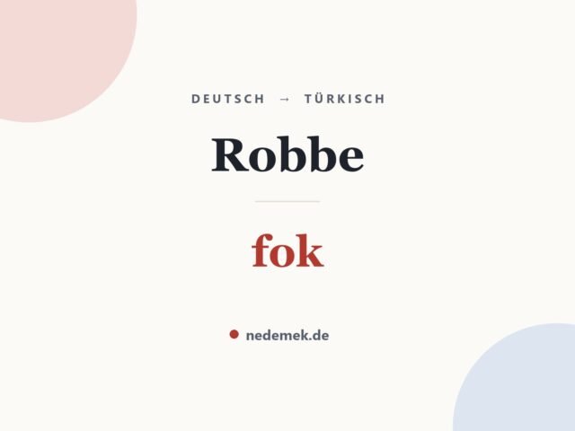 Robbe auf Türkisch: fok