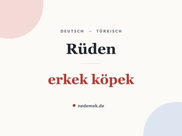 Rüden auf Türkisch: erkek köpek
