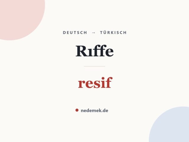 Rıffe auf Türkisch: resif