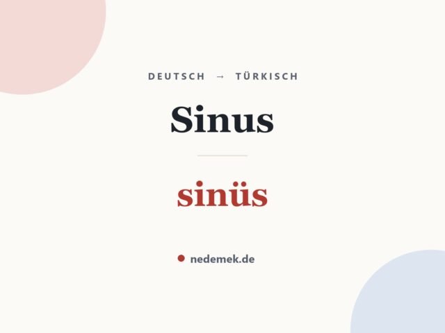 Sinus auf Türkisch: sinüs
