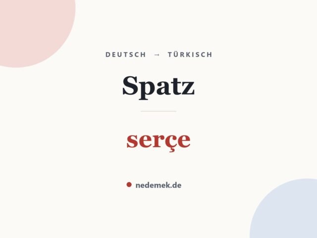 Spatz auf Türkisch: serçe