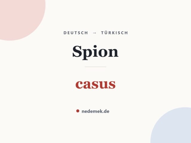 Spion auf Türkisch: casus