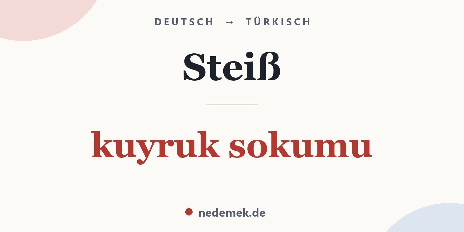 Steiß auf Türkisch: kuyruk sokumu