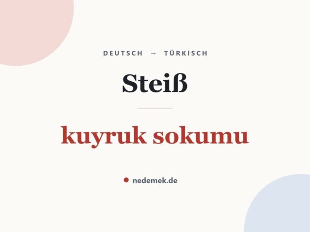 Steiß auf Türkisch: kuyruk sokumu