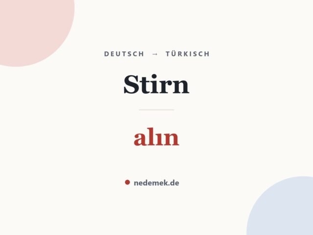 Stirn auf Türkisch: alın