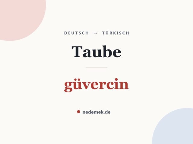 Taube auf Türkisch: güvercin