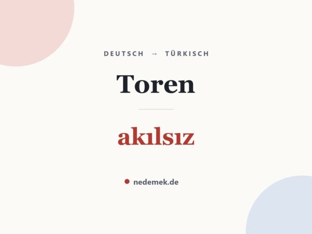 Toren auf Türkisch: akılsız