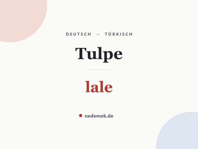 Tulpe auf Türkisch: lale