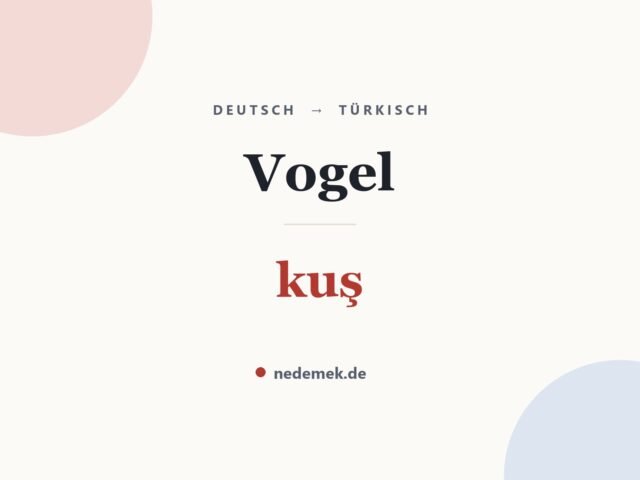 Vogel auf Türkisch: kuş