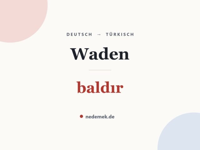 Waden auf Türkisch: baldır