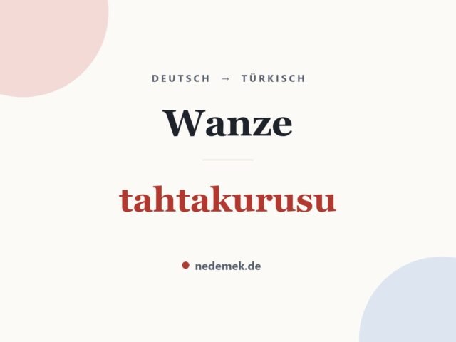 Wanze auf Türkisch: tahtakurusu