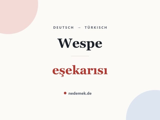 Wespe auf Türkisch: eşekarısı