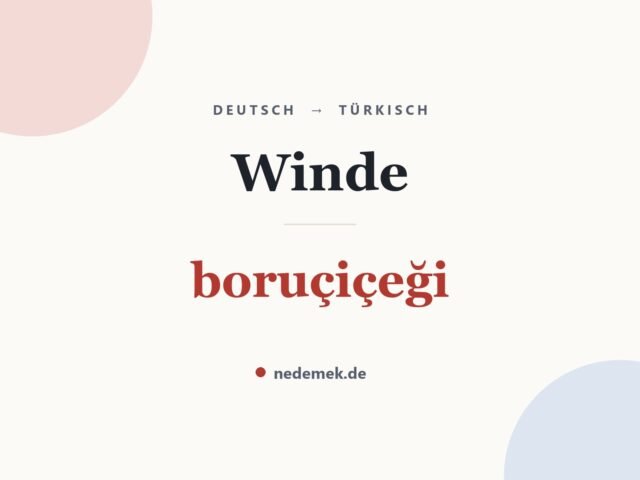 Winde auf Türkisch: boruçiçeği