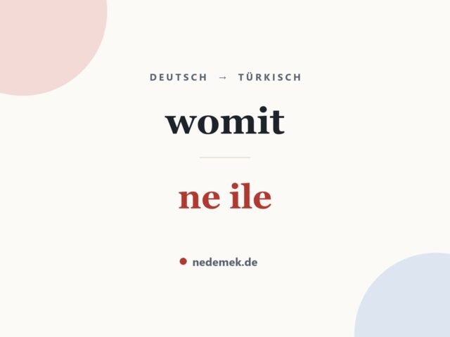 womit auf Türkisch: ne ile