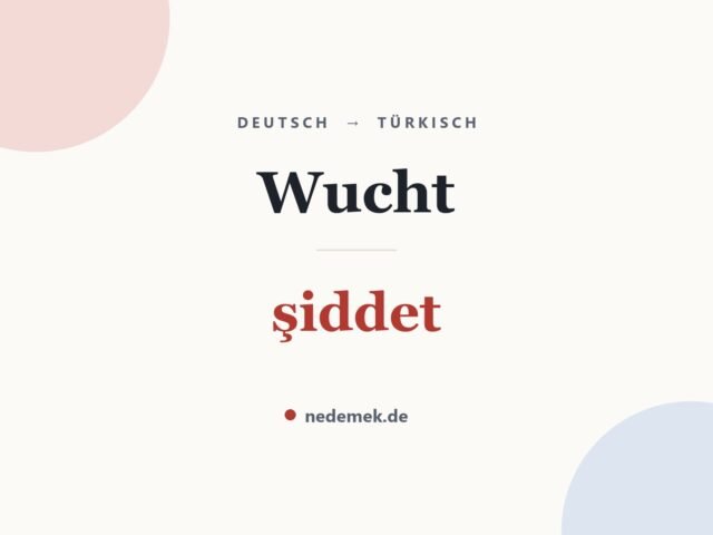 Wucht auf Türkisch: şiddet