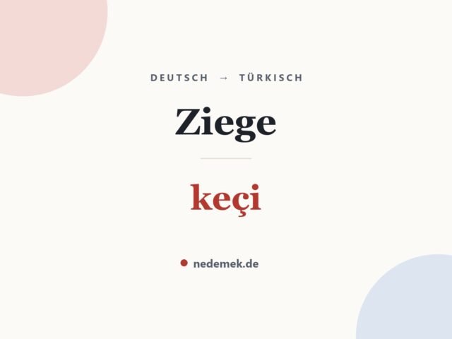 Ziege auf Türkisch: keçi