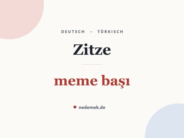 Zitze auf Türkisch: meme başı