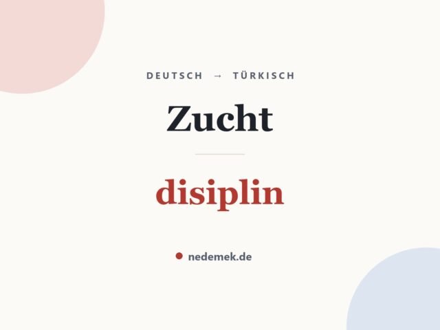 Zucht auf Türkisch: disiplin