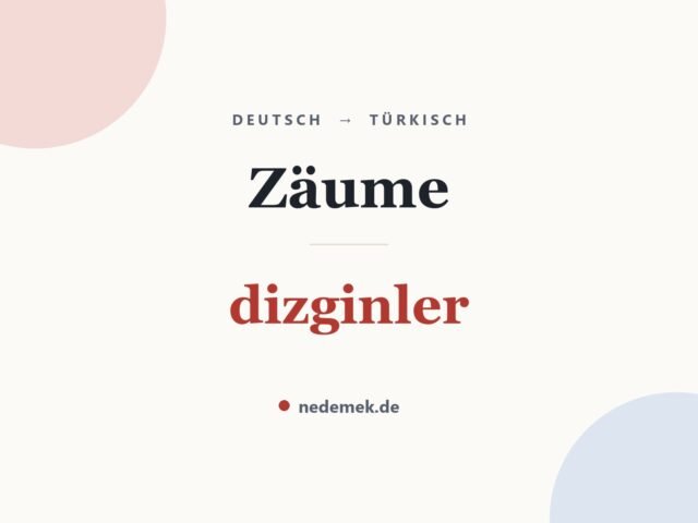 Zäume auf Türkisch: dizginler